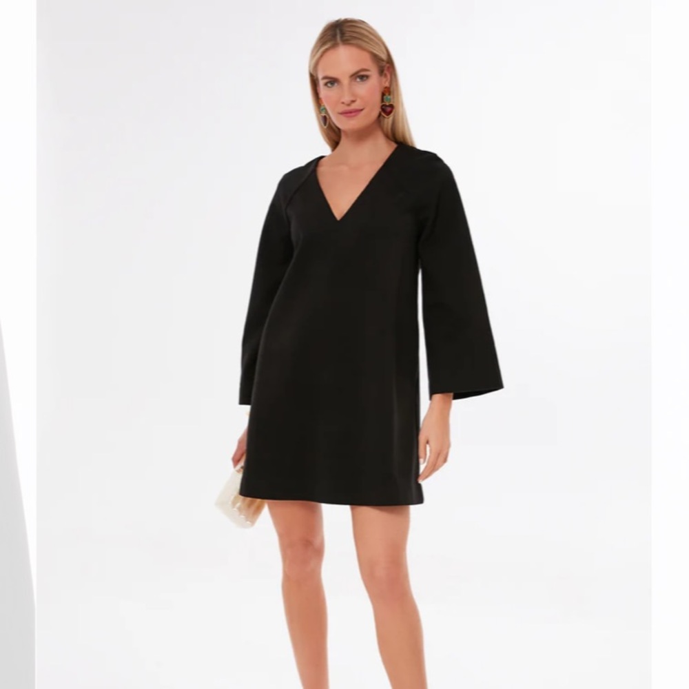 Tuckernuck Black V-Neck Mini Dress